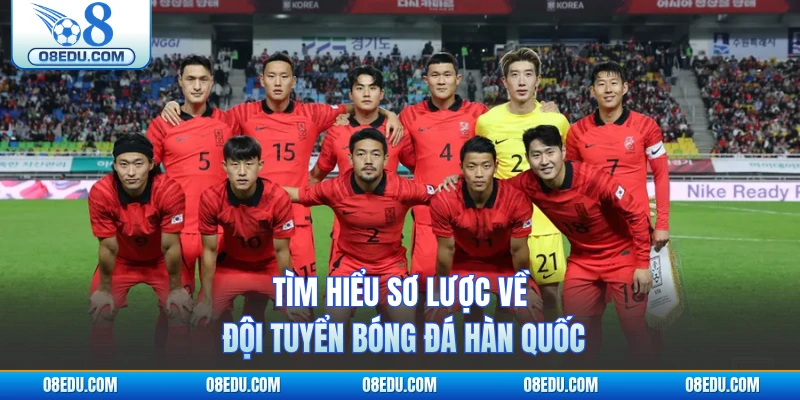 Tìm hiểu sơ lược về đội tuyển bóng đá Hàn Quốc